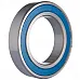 6010-2RS1 Bearing - 1