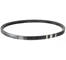 06211014 Belt Tagex