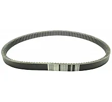 Z37473 Пас Tagex