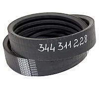 344311228 Belt Tagex