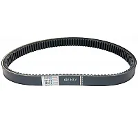 628847.1 Belt Tagex, 628847
