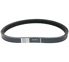 628847.1 Belt Tagex, 628847