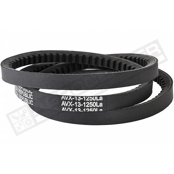AVX 13-1250 La Belt V-type ( 304375 ) GUFERO - 1