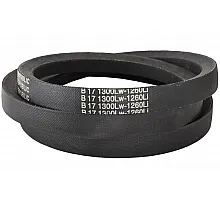 B17 1300Lw-1260Li Пас V-образный ( 300948 ) GUFERO