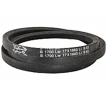 B17 1700Lw-1660Li Пас V-образный ( 300990 ) GUFERO