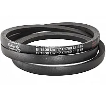 B17 1800Lw-1760 Li Belt V-type ( 300996 ) GUFERO