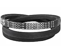C22 1850Lw-1800Li Belt V-type ( 301485 ) GUFERO