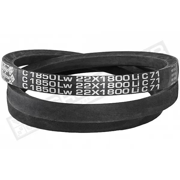C22 1850Lw-1800Li Belt V-type ( 301485 ) GUFERO - 1