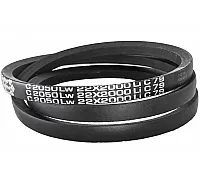 C22 2050Lw-2000Li Пас V-образный ( 301490 ) GUFERO