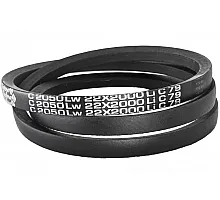 C22 2050Lw-2000Li Пас V-образный ( 301490 ) GUFERO