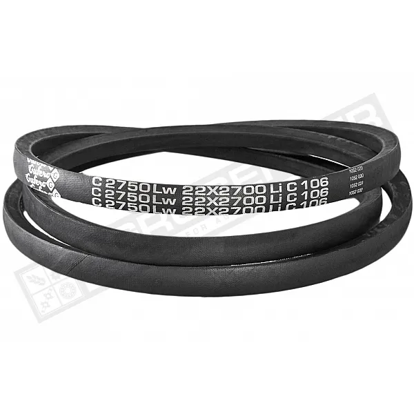 C22 2750Lw-2700 Li Пас V-образный ( 301526 ) GUFERO - 1