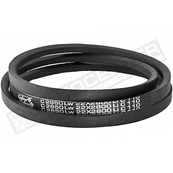 C22 2850Lw-2800 Li Пас V-образный ( 301528 ) GUFERO - 1