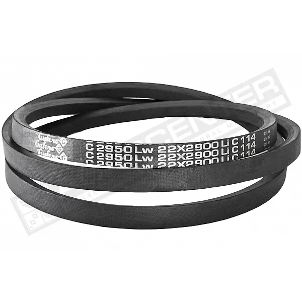C22 2950Lw-2900 Li Belt V-type ( 301532 ) GUFERO - 1