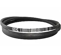 C22 3800Lw-3750Li Пас V-образный ( 301554 ) GUFERO