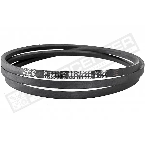 C22 4000Lw-3950Li Пас V-образный ( 301559 ) GUFERO - 1