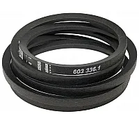 603336.1 Пас Tagex, 603336