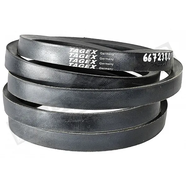 667238.0 Пас Tagex [Claas], 667238 - 1