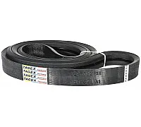 124572A1 Belt Tagex