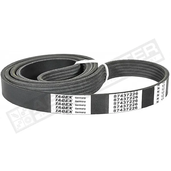 87437226 Пас Tagex [New Holland] - 1