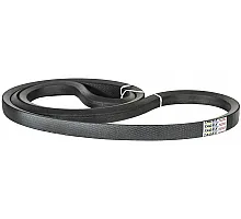 702509.0 Belt Tagex