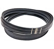 H155998 Пас Tagex