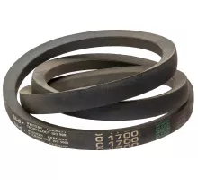 C22 1700 Belt V-type St-d