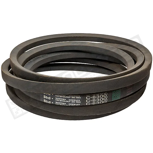 C22 6300 Belt V-type St-d - 1