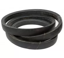D41981200 Пас V-образный [Massey Ferguson]