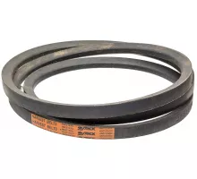 D41909000 Belt