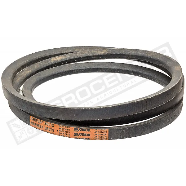 D41909000 Belt - 1