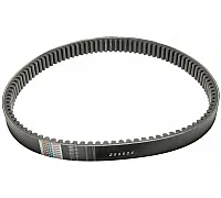 Z65924 Belt Tagex