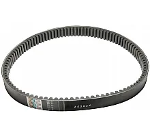 Z65924 Пас Tagex