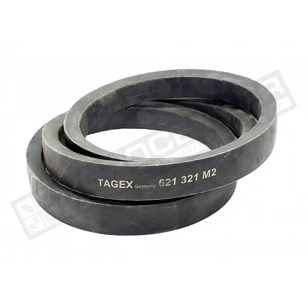 621321M2 Пас Tagex - 1