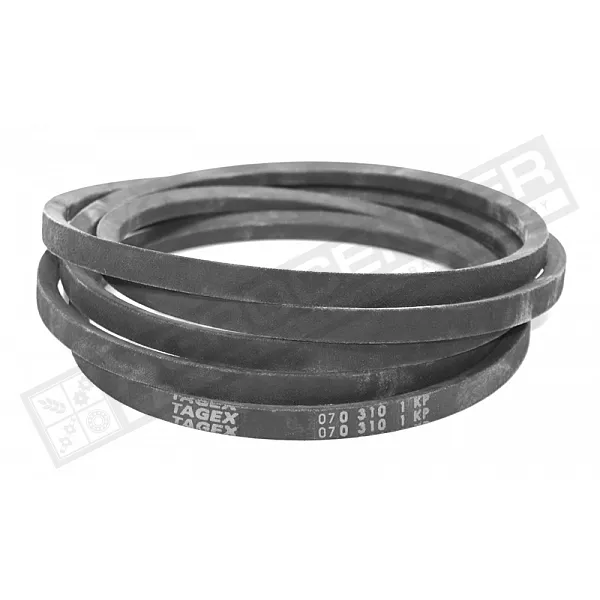 070310.1 Belt Tagex, 070310 - 1