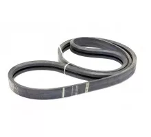 124573A1 Belt Tagex
