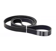 31302076  Belt Tagex