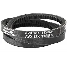 AVX 13-1125 La Belt V-type ( 304369 ) GUFERO