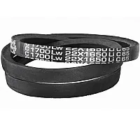 C22 1700Lw-1650Li Пас V-образный ( 301481 ) GUFERO