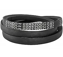 C22 1750Lw-1700Li Пас V-образный ( 301482 ) GUFERO
