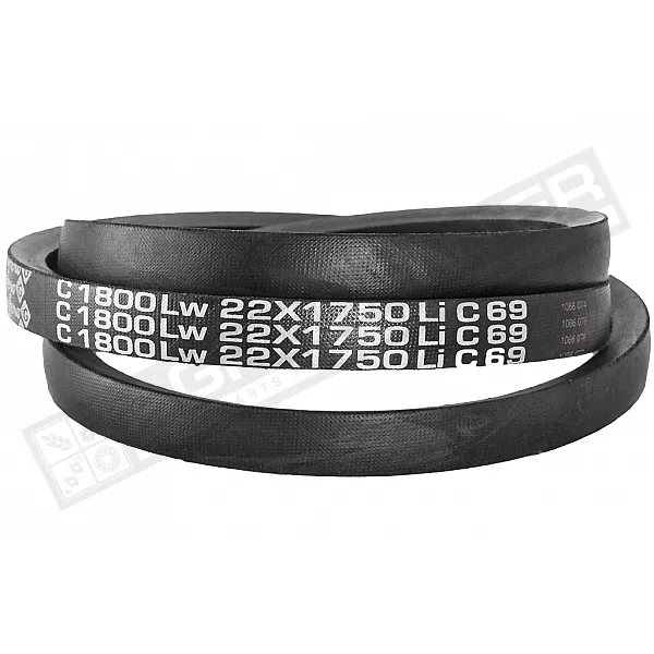 C22 1800Lw-1750Li Пас V-образный ( 301484 ) GUFERO - 1