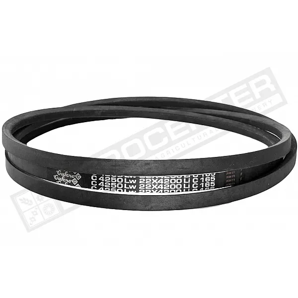 C22 4250Lw-4200Li Пас V-образный ( 301565 ) GUFERO - 1