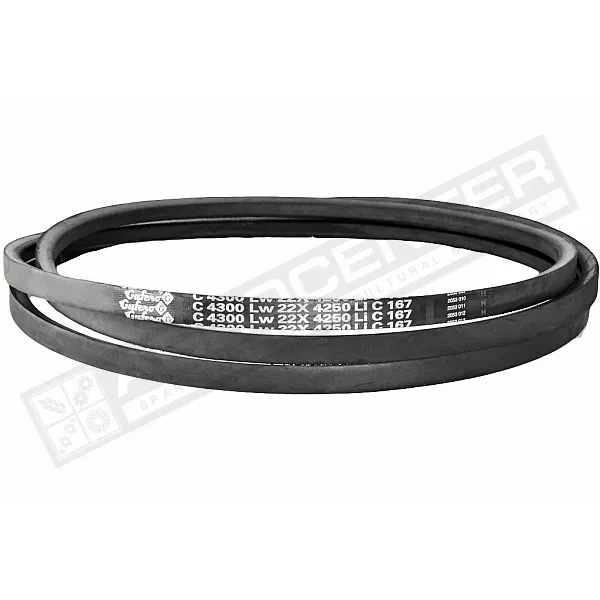 C22 4300Lw-4250Li Пас V-подібний ( 301566 ) GUFERO - 1
