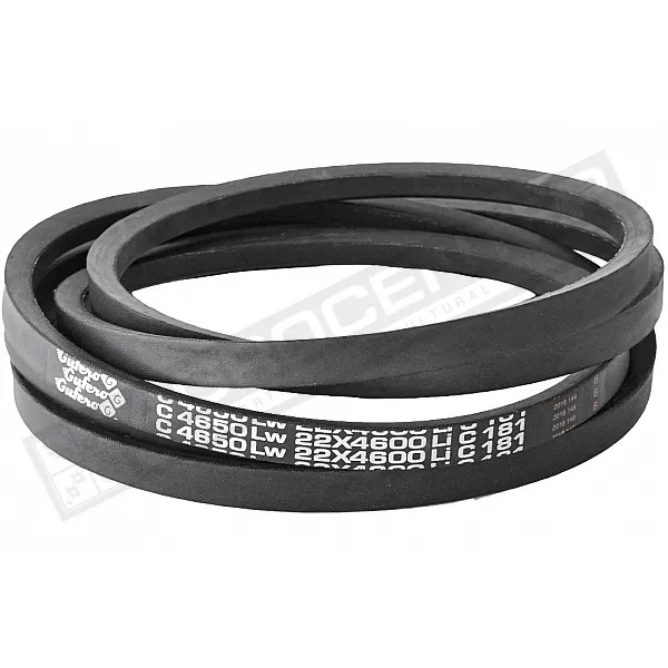 C22 4650Lw-4600Li Пас V-образный ( 301576 ) GUFERO - 1