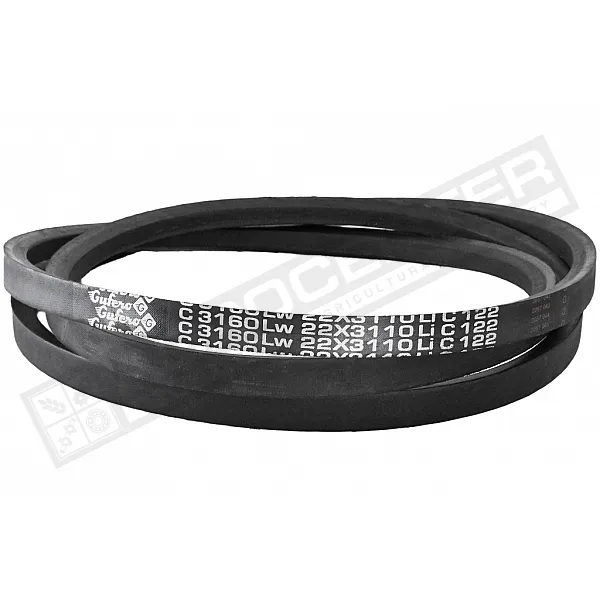 C22 3160Lw-3110Li Пас V-образный ( 301539 ) GUFERO - 1