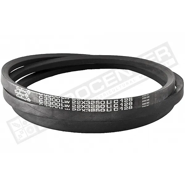 C22 3300Lw-3250Li Пас V-подібний ( 301542 ) GUFERO - 1