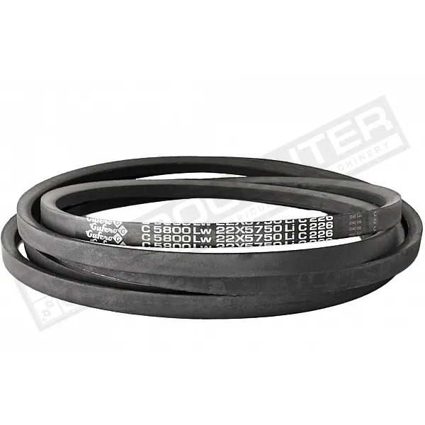 C22 5800Lw-5750Li Пас V-подібний ( 301601 ) GUFERO - 1