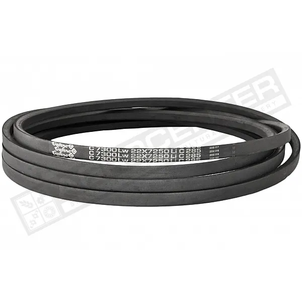 C22 7300Lw-7250Li Пас V-образный ( 301624 ) GUFERO - 1