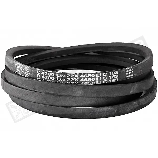 C22 4700Lw-4650Li Пас V-подібний ( 301577 ) GUFERO - 1
