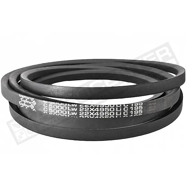 C22 5000Lw-4950Li Пас V-подібний ( 301584 ) GUFERO - 1