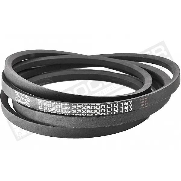 C22 5050Lw-5000Li Пас V-подібний ( 301585 ) GUFERO - 1